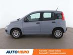 Fiat Panda 1.2 Easy (bj 2020), Auto's, Fiat, 4 zetels, Stof, Gebruikt, Panda