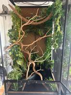 Flexarium, Animaux & Accessoires, Enlèvement, Utilisé, Autres types