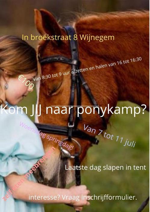 Ponykamp en ponydagen, Dieren en Toebehoren, Paarden en Pony's | Overige Paardenspullen, Ophalen of Verzenden