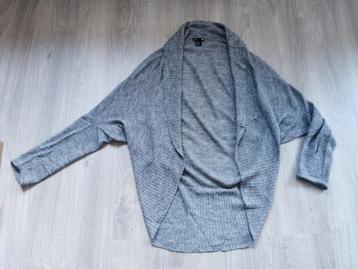 Dun vestje H&M - maat M/L beschikbaar voor biedingen