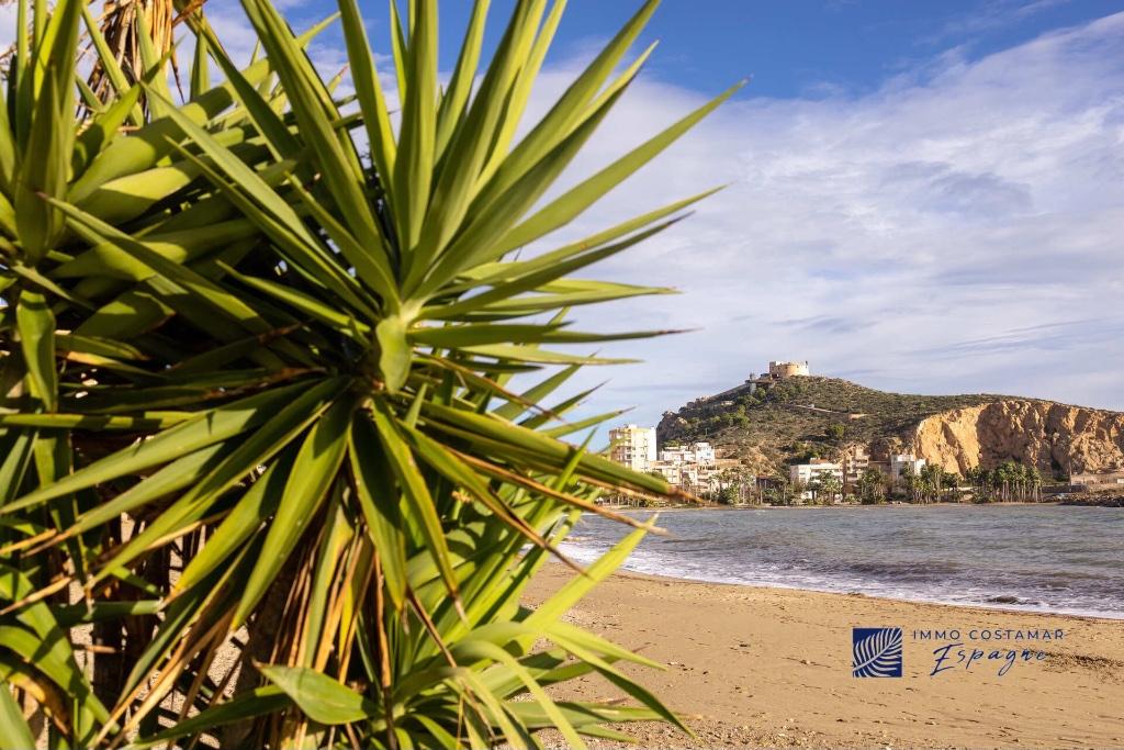 Appartement première ligne à vendre en espagne, Aguilas, 85 m², Ville, 2 pièces