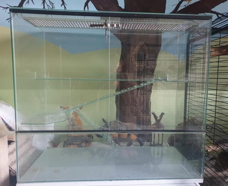 Knaagdieren kooi, Animaux & Accessoires, Rongeurs & Lapins | Cages & Clapiers, Utilisé, Cage, 60 à 90 cm, 75 à 110 cm, Chinchilla