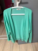 Maat xl, Kleding | Dames, Truien en Vesten, Ophalen of Verzenden, Gedragen, Maat 46/48 (XL) of groter