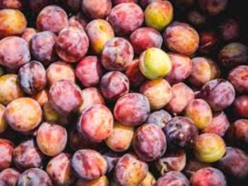 bio pruimen 3,00€ beschikbaar voor biedingen
