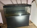 Aquarium, Animaux & Accessoires, Poissons | Aquariums & Accessoires, Enlèvement, Utilisé, Aquarium vide