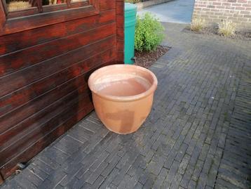 Bloempot beschikbaar voor biedingen