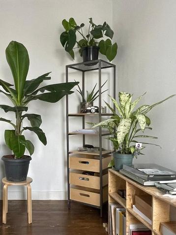 IKEA VEBERÖD shelf unit beschikbaar voor biedingen