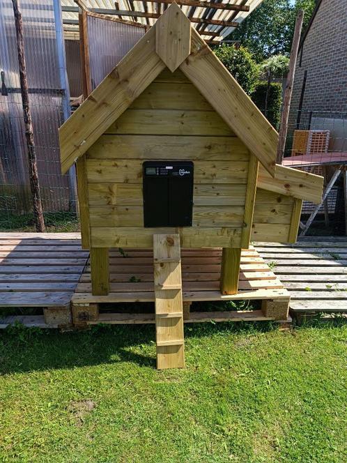 nieuw kippenhok tik/tok GRATIS LEVERING + MONTAGE 0499082381, Dieren en Toebehoren, Pluimvee | Toebehoren, Nieuw, Kippenhok of Kippenren