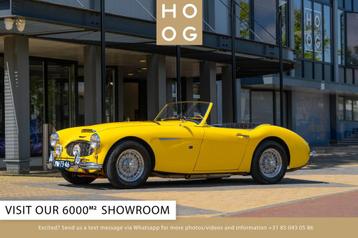 Austin Healey 100 6 100/6 (bj 1957), Auto's, Overige merken, Overige kleuren, Cabriolet, 120 pk