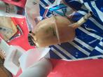 Water bak motor  opel  kadett 1700 diesel, Auto-onderdelen, Ophalen of Verzenden, Opel