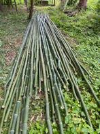 bamboe,Tomatenstokken,Boonstaken, Tuin en Terras, Ophalen, Nieuw