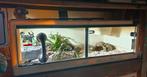Terrarium Herptek 150x70x50, Enlèvement, Comme neuf, Terrarium ou Paludarium