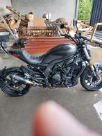 A vendre Benelli 502 c 2021 2700 km, 600 cm³, Tourisme, 2 cylindres, Particulier