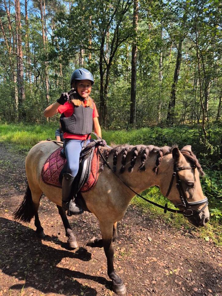 Zeer brave, betrouwbare en mooie 8-jarige pony te koop, Dieren en Toebehoren, Pony's