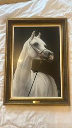 Schilderij Arabisch paard inclusief kader “Mahfouz”, Antiek en Kunst, Ophalen