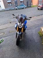 Yamaha fz8, Motoren, Particulier