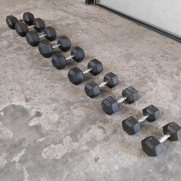 Rogue hexa dumbells set  10 kilo tot 35 kilo  beschikbaar voor biedingen