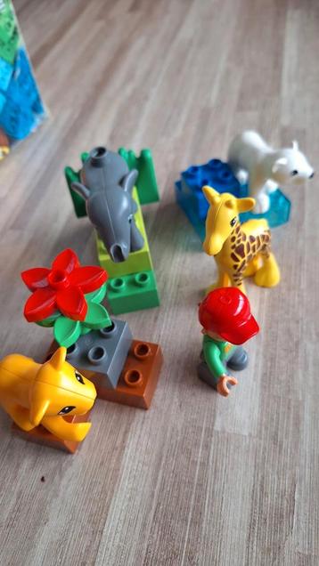 Lego Duplo baby dierentuin, Enlèvement, Comme neuf, Duplo