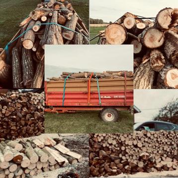 Gekliefd wilgenhout / stam – ideaal  voor de winter!l beschikbaar voor biedingen