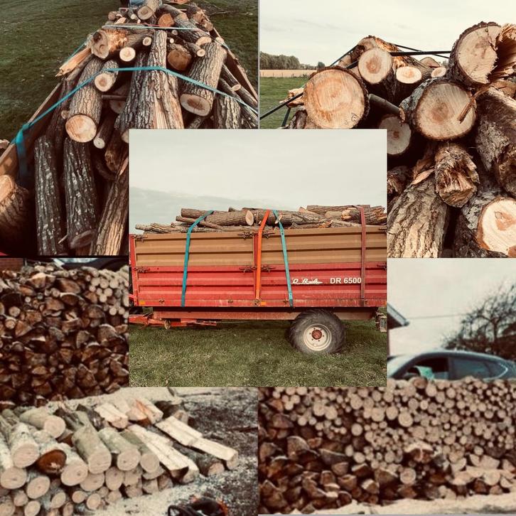 Gekliefd wilgenhout / stam – ideaal  voor de winter!l, Tuin en Terras, Brandhout, Stammen, Overige houtsoorten, 6 m³ of meer, Ophalen