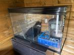 Aquarium met externe filter, Dieren en Toebehoren, Ophalen, Gebruikt, Leeg aquarium
