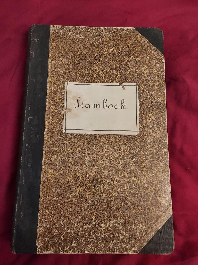 Antiek paarden stamboek, verzekering, 1904, België, Dieren en Toebehoren, Paarden