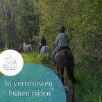 Begeleiding op buitenrit, endurance, zadelmak maken…, Dieren en Toebehoren, Ophalen, Zo goed als nieuw