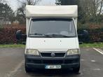 FIAT DUCATO 2.3 JTD|SLECHTS 55.000KM! 3+1 PLAATS NIEUWSTAAT✅, Integraal, 7 tot 8 meter, Bedrijf, Diesel