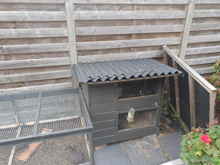 2 dwergkonijntjes ,met hok en ren, Dieren en Toebehoren, Knaagdieren en Konijnen | Hokken en Kooien, Zo goed als nieuw, Hok, 90 cm of meer