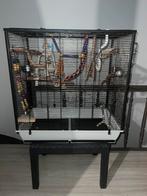 Vogelkooi, Ophalen, Zo goed als nieuw, Vogelkooi