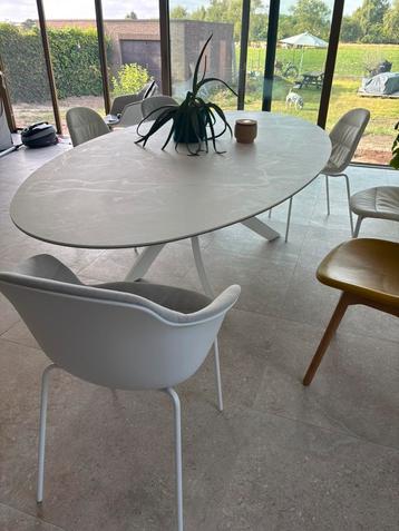 6 eetstoelen Bontempi beschikbaar voor biedingen
