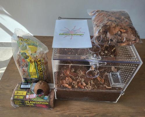 Acryl terrarium van arachnosys plus toebehoren, Dieren en Toebehoren, Reptielen en Amfibieën | Toebehoren, Nieuw, Terrarium of Paludarium