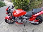 Honda hornet 600, Particulier