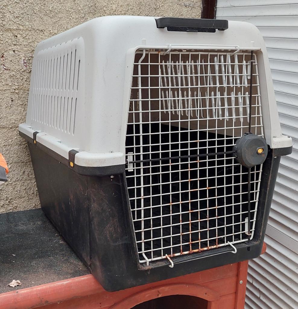 Cage de transport pour grand chien., Animaux & Accessoires, Autres accessoires pour animaux, Utilisé, Enlèvement
