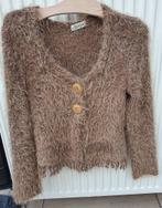 Bruin vestje van Junie Paris maat S, Kleding | Dames, Bruin, Ophalen of Verzenden, Zo goed als nieuw, Junie Paris