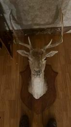 Reekop met gewei, Ophalen, Zo goed als nieuw