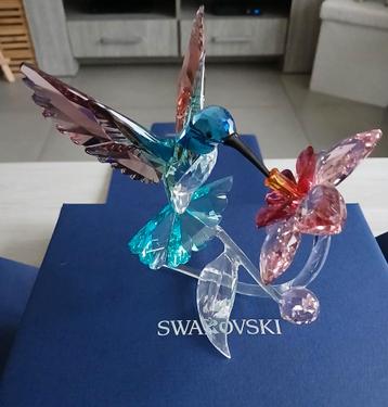 Swarovski kolibrie op orchidee paradise collectie nieuw beschikbaar voor biedingen