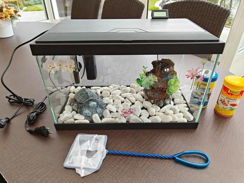 Aquarium 20Liter, Animaux & Accessoires, Poissons | Aquariums & Accessoires, Comme neuf, Enlèvement ou Envoi