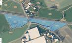 Tielt 8700 (Poelberg), Te Huur: 2 Weiden, groot 1 Ha, Dieren en Toebehoren, Stalling en Weidegang, Weidegang, 2 of 3 paarden of pony's