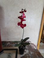 Kunststof orchidee, Maison & Meubles, Plantes d'intérieur, Enlèvement ou Envoi
