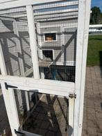 Kattenren, Dieren en Toebehoren, Ophalen, Gebruikt