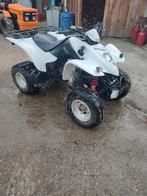 Kymco maxxer 250, Motoren, 249 cc