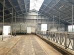 Jongveestal, Schuur, Staalconstructie, Koop