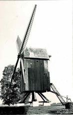 Oosterzele - Vinkemolen, Verzamelen, Postkaarten | België, Verzenden, 1980 tot heden, Ongelopen, Oost-Vlaanderen