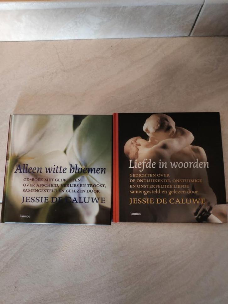 Liefde in woorden, Boeken, Gedichten en Poëzie, Zo goed als nieuw, Ophalen of Verzenden