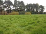 Grond te koop in Roeselare, Immo, Tot 200 m²
