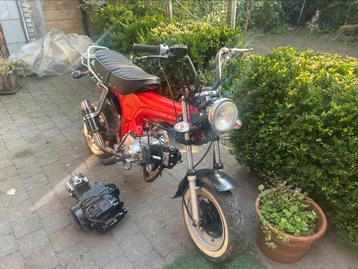 Dax 50cc + gratis lifan blok, Honda, 4 vitesses, Comme neuf, Enlèvement