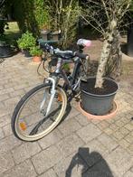 Keuze uit verschillende fietsen kleuren en modellen aan 150€, Fietsen en Brommers, Ophalen, Nieuw, Minerva