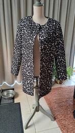 Lang blazer model ronde hals, Kleding | Dames, Ophalen, Nieuw, Maat 38/40 (M)