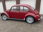 VW kever, Achterwielaandrijving, Volkswagen, Overige kleuren, Handgeschakeld